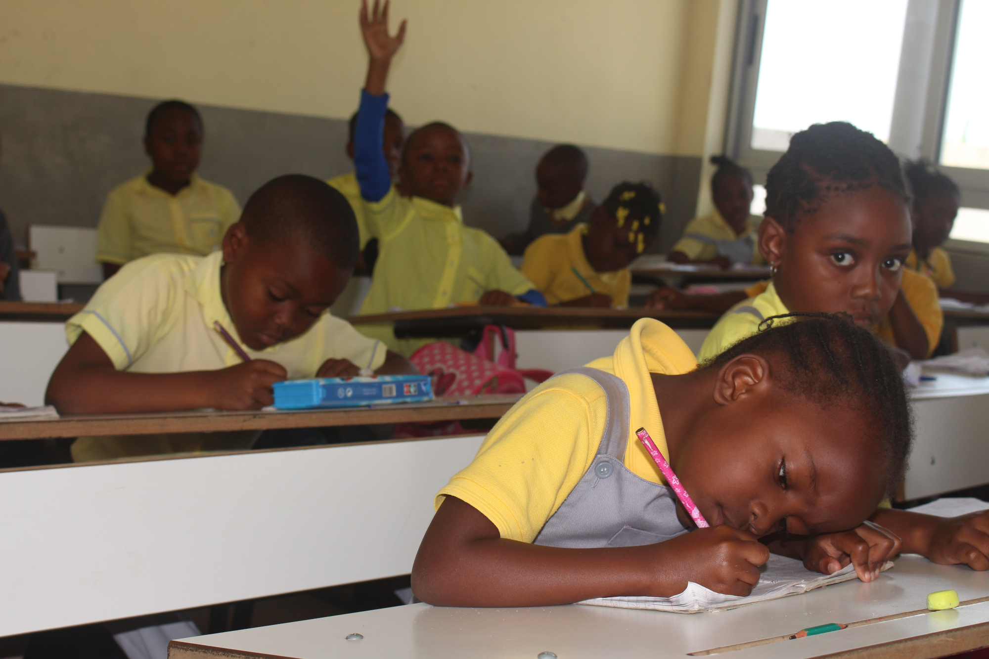 Aluno do Colégio Âncora